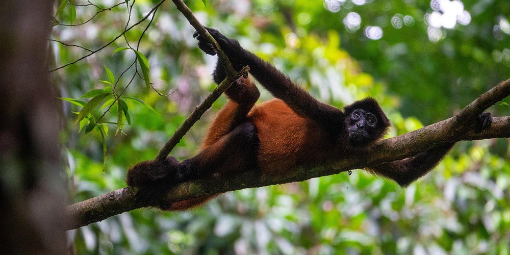 Costa Rica